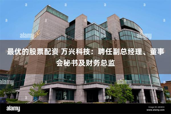 最优的股票配资 万兴科技：聘任副总经理、董事会秘书及财务总监