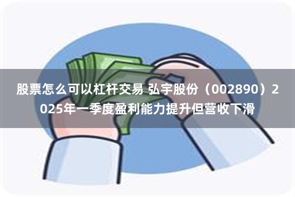 股票怎么可以杠杆交易 弘宇股份（002890）2025年一季度盈利能力提升但营收下滑