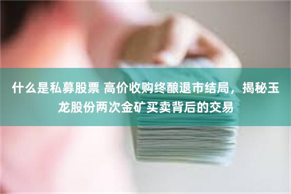 什么是私募股票 高价收购终酿退市结局，揭秘玉龙股份两次金矿买卖背后的交易